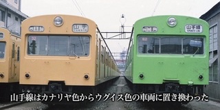 101系黄緑.jpg